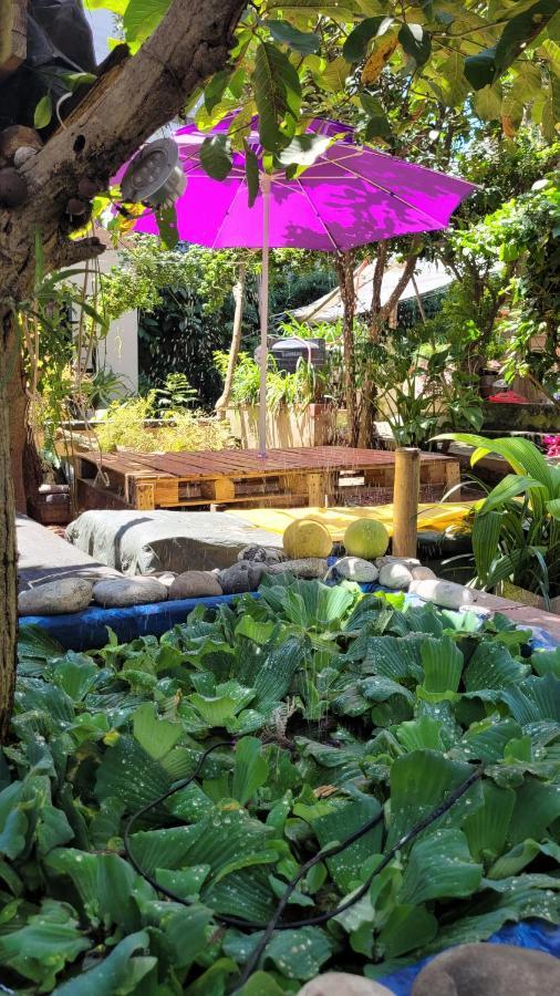 קטמנדו Laughing Buddha Guest House & Villa מראה חיצוני תמונה